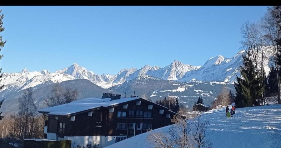 Porte Du Mont Blanc Aux Pieds Des Pistes Apartment *