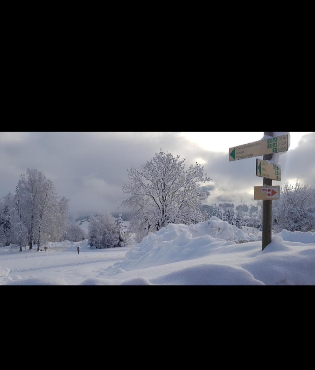 Porte Du Mont Blanc Aux Pieds Des Pistes