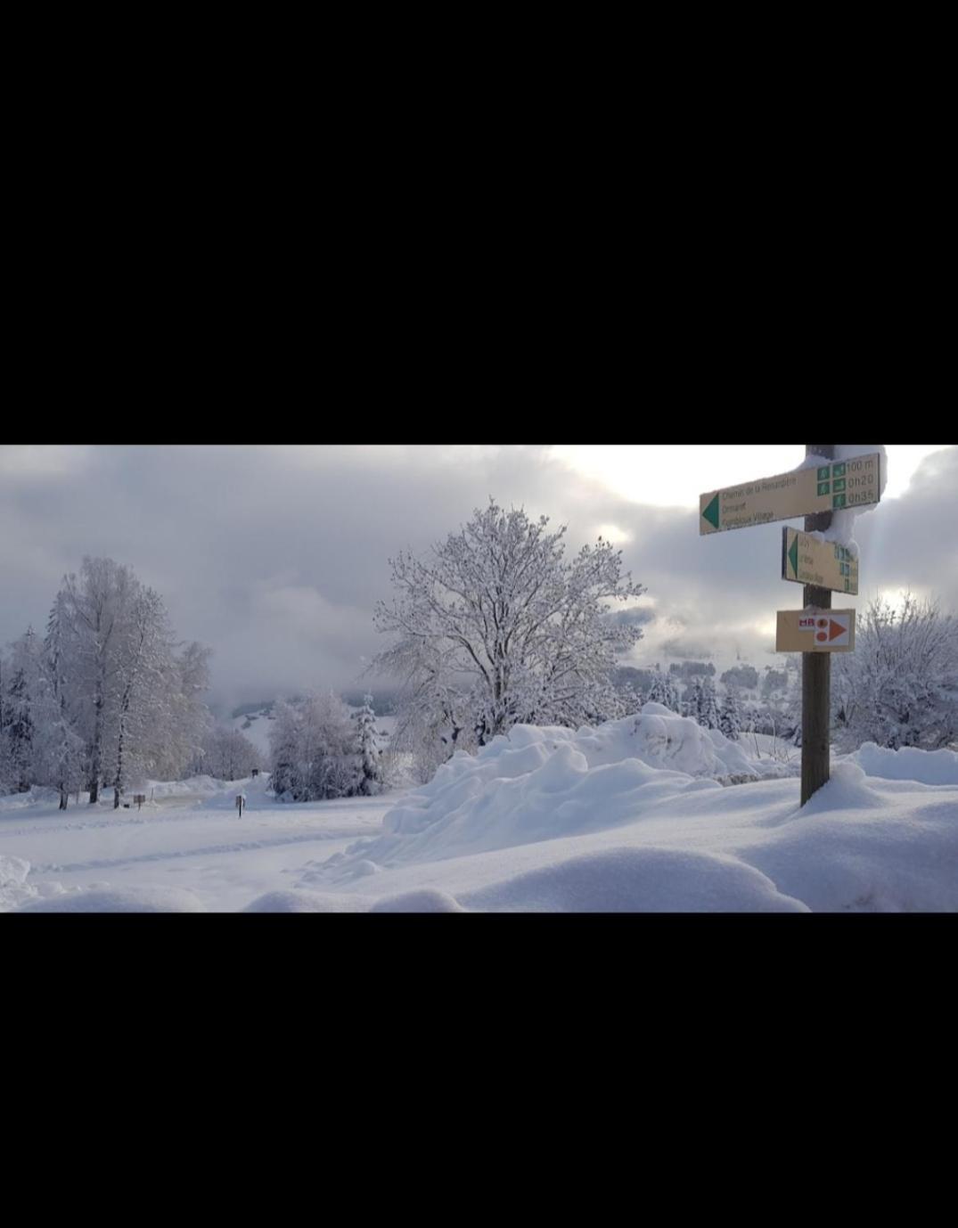 Porte Du Mont Blanc Aux Pieds Des Pistes Apartment *