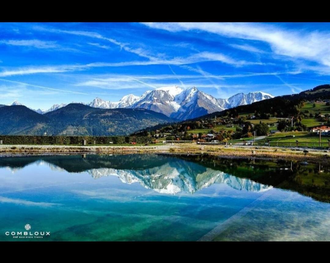 Porte Du Mont Blanc Aux Pieds Des Pistes Apartment